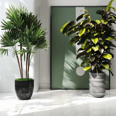 植物盆栽3D模型下载